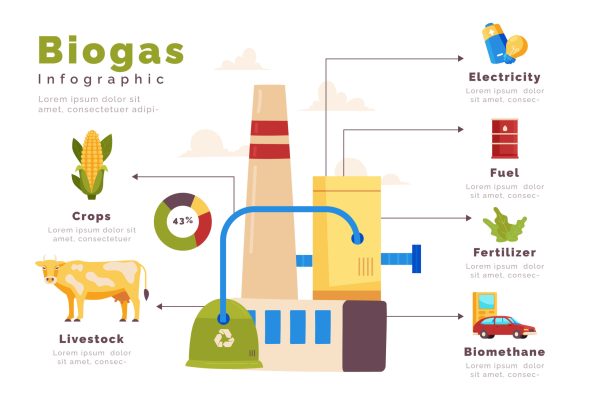 Biogas